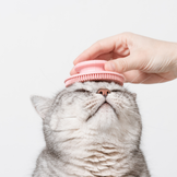 Pflege- und Hygieneprodukte für Katzen