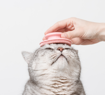Pflege- und Hygieneprodukte für Katzen
