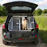 Protezioni per l'auto e trasportini per cani in sconto