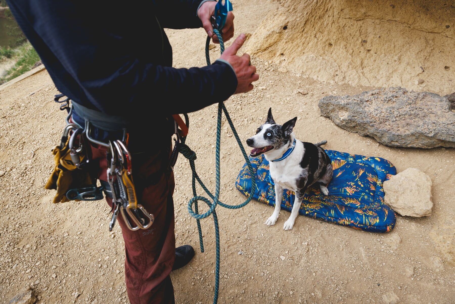 Hundebetten und Matten für Unterwegs