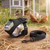 Leashes and Harnesses for Chickens