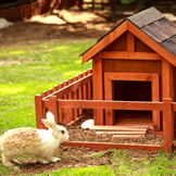 Zajčniki in ograjeni prostori za male živali
