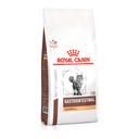 Royal Canin Veterinary GASTROINTESTINAL HAIRBALL