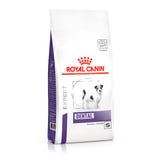 Royal Canin Veterinary Dental Small Dogs