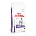 Royal Canin Veterinary DENTAL MEDIUM & LARGE DOGS - 6 kg