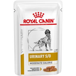 URINARY S/O MODERATE CALORIE Feine Stückchen in Soße 12 x 100 g - 1.200 g
