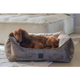 Designed by Lotte Ortho Hundebett Soft Essence Mokka - 65x60 cm