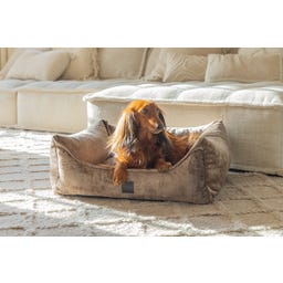 Designed by Lotte Ortho Hundebett Soft Essence Mokka - 65x60 cm