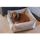 Designed by Lotte Ortho Hundebett Wild Essence Beige - 65x60 cm