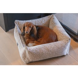 Designed by Lotte Ortho Hundebett Wild Essence Beige - 65x60 cm