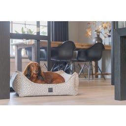 Designed by Lotte Ortho Hundebett Wild Essence Beige - 65x60 cm