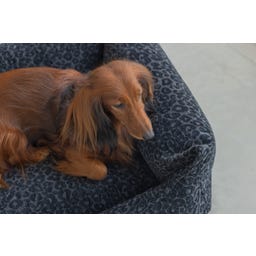 Designed by Lotte Ortho Hundebett Wild Essence Anthrazit - 65x60 cm