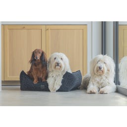 Designed by Lotte Ortho Hundebett Wild Essence Anthrazit - 65x60 cm
