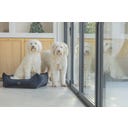 Designed by Lotte Ortho Hundebett Wild Essence Anthrazit - 65x60 cm