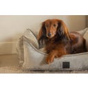 Designed by Lotte Ortho Hundebett Soft Essence Hellgrau - 65x60 cm