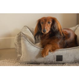 Designed by Lotte Ortho Hundebett Soft Essence Hellgrau - 65x60 cm