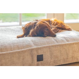 Designed by Lotte Ortho Hundekissen Wave Essence 100 cm - Beige