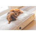 Designed by Lotte Ortho Hundekissen Wave Essence 100 cm - Beige