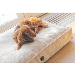 Designed by Lotte Ortho Hundekissen Wave Essence 100 cm - Beige