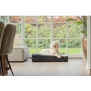 Designed by Lotte Ortho Hundekissen Wild Essence 100 cm - Anthrazit