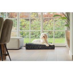 Designed by Lotte Ortho Hundekissen Wild Essence 100 cm - Anthrazit