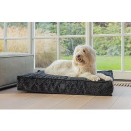 Designed by Lotte Ortho Hundekissen Wild Essence 100 cm - Anthrazit
