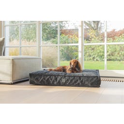 Designed by Lotte Ortho Hundekissen Wild Essence 100 cm - Anthrazit