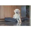 Designed by Lotte Ortho Hundekissen Wild Essence 100 cm - Anthrazit