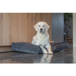 Designed by Lotte Ortho Hundekissen Wild Essence 100 cm - Anthrazit