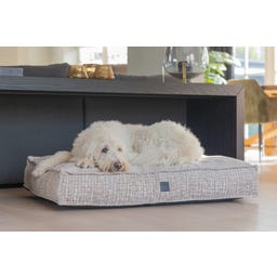 Designed by Lotte Ortho Hundekissen Maze Essence 100 cm - Beige