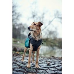 Uppsala Allrounder - Cappottino per Cani, Antracite/Rosso - 35
