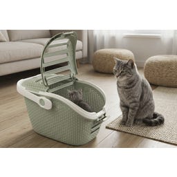 Curver Petlife Transportbox 51x38x33 - Misty Green