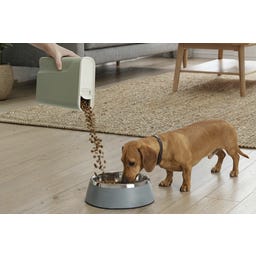 Curver Petlife Futtercontainer Hund/Katze Misty Green - 2 Liter