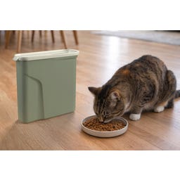 Curver Petlife Futtercontainer Hund/Katze Misty Green - 2 Liter