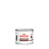 GASTROINTESTINAL KITTEN Ultra Soft Mousse