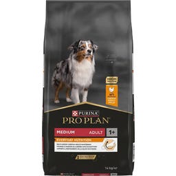 ProPlan Medium Adult Ricco in Pollo - 14 kg