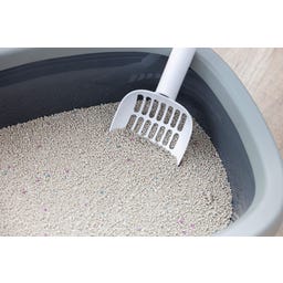 Kerbl Katzenstreu Bentonit - 6 l