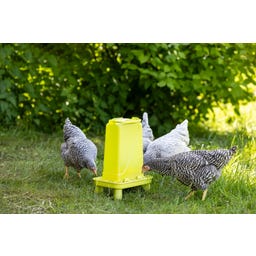Kerbl Futterautomat für Geflügel grün - 3,5 l