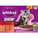 Klasszikus válogatás szószban Junior nedves macskatáp - Multipack 12x85g - 1.020 g