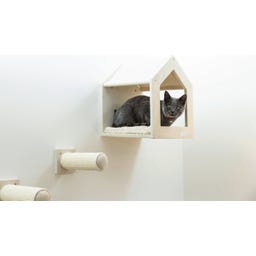 Kletterwand Monte Falco für Katzen beige, 6-teilig - 1 Stk