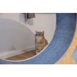 Kerbl Katzenlaufrad - beige/grau
