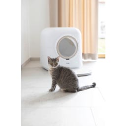 Kerbl Katzentoilette Smart selbstreinigend - weiß
