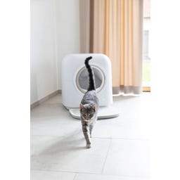 Kerbl Katzentoilette Smart selbstreinigend - weiß