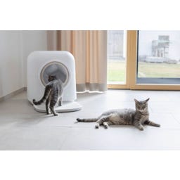 Kerbl Katzentoilette Smart selbstreinigend - weiß