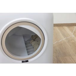 Kerbl Katzentoilette Smart selbstreinigend - weiß
