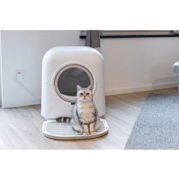 Kerbl Katzentoilette Smart selbstreinigend - weiß