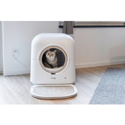 Kerbl Katzentoilette Smart selbstreinigend - weiß