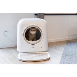 Kerbl Katzentoilette Smart selbstreinigend - weiß
