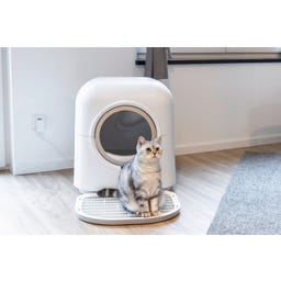 Kerbl Katzentoilette Smart selbstreinigend - weiß