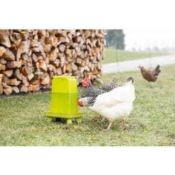 Kerbl Geflügeltränke rechteckig grün - 3,5 l